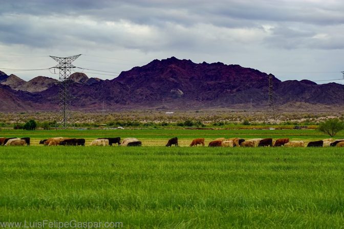 12985434_10153582129361172_7714997668968091992_n