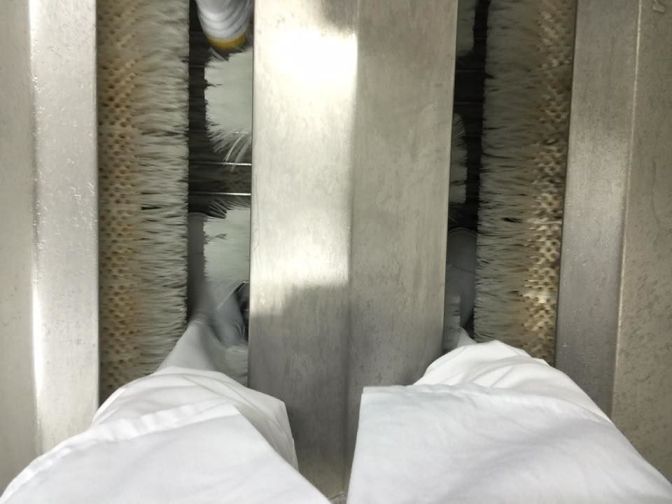 13592179_10153766385011172_6912180013091238007_n